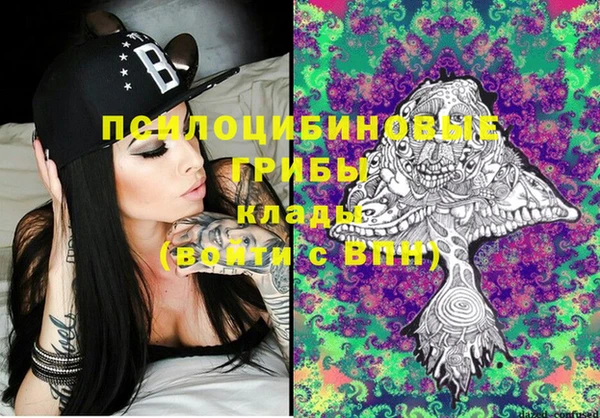 ГАЛЛЮЦИНОГЕННЫЕ ГРИБЫ Куйбышев