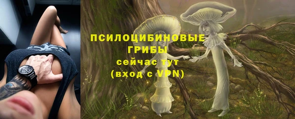 мет Кулебаки